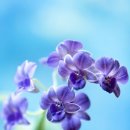 행복지기 - 춘천시 | 행복지기