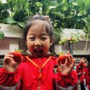 유진농장(2) 이미지