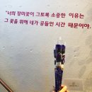 몽글몽글 가로수길점 이미지