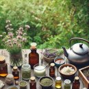 꿈꾸는 아로마 테라피 이미지