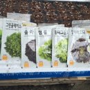 솔마1로 이미지