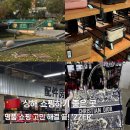 홍차오 - 중구 마른내로 17 | 상해 가볼만한 곳｜ZZER 방문 후기·홍차오공항 근처 중명품 편집샵