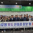 상주청과