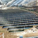 영진 태양광발전소 이미지