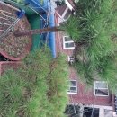 범안로21번길 이미지