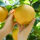 인천축산업협동조합 이미지