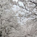 가락장구(초급) 이미지