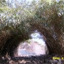 철탑민박 이미지