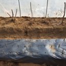 정금농장 이미지