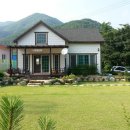 창규농장 Daum카페