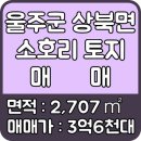 토지공인중개사사무소 이미지