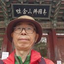 해운대전통시장 이미지