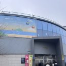 전곡항로 | 경기도 당일치기여행 서울근교 나들이로 좋은 [서해랑 제부도해상케이블카] 크리스탈캐빈 탑승 후기