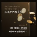 스노우폭스 이미지