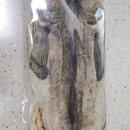 어쭈구리왕문어 구미점 이미지