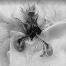 금샘동물병원 이미지