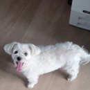 (주)유주컴퍼니 안산지점 | 2024년 7월