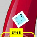 진동애견