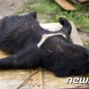 이명근 농장 이미지