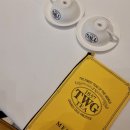 마카롱이 맛있는 강남 애프터눈티 세트 TWG Tea 압구정 안다즈점