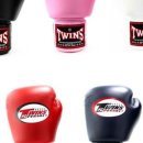 이지복싱 이미지