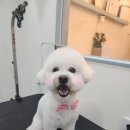 봉봉미용실 티스토리