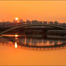 하늘바람꽃농원 | 2015년을 돌아보는 상반기 국내여행 (봄 꽃과 함께한 시간들)