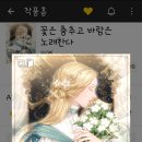 아르셀라 이미지