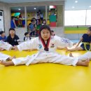 용인대박사태권도 2관 이미지