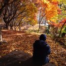 계남공원 이미지