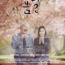 봄날처럼 이미지