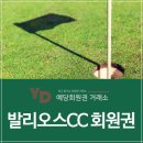신창기업(주)발리오스컨트리클럽(회원제) 이미지