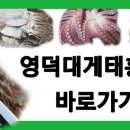 태흥수산 네이버블로그