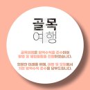 망원만물 이미지