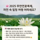 🌸 2025 무안연꽃축제, 여름엔 연꽃향 가득한 힐링 여행 🌿