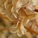 임걸령옹달샘 이미지