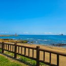사계바다낚시커피