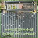 노타임 | 수서역 근처 나만 알고 싶은 분위기 좋은 카페 노타임포유