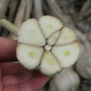 썬푸드마켓