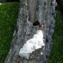 하정농장 이미지