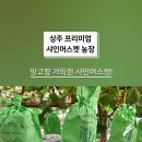 상주행복농장 이미지