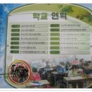 선암초등학교 이미지