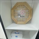 용인대 매화태권도 이미지