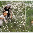 타샤의정원 이미지