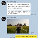 피오 | 자연스러운 웨딩스냅보정 무제한 수정가능한 세니피오 리터칭 후기(내돈내산)