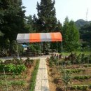 동해바람 민박 네이버블로그