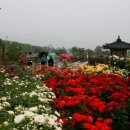 전라남도 농업박물관(운동장) 이미지