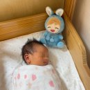 미즈맘산후조리원 이미지