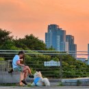 코오롱 야외음악당 이미지