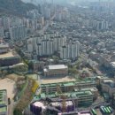 강남아파트(5동 앞)